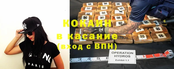соль ск Абаза