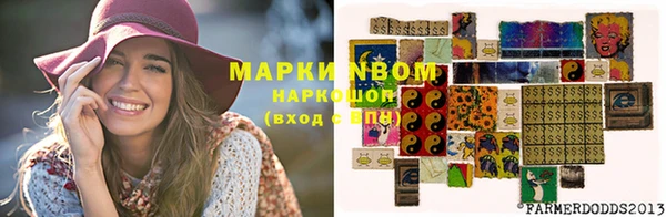 прущие грибы Абинск