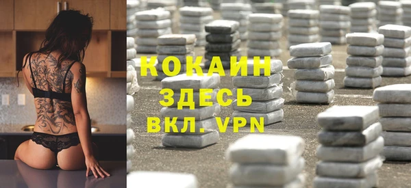 прущие грибы Абинск