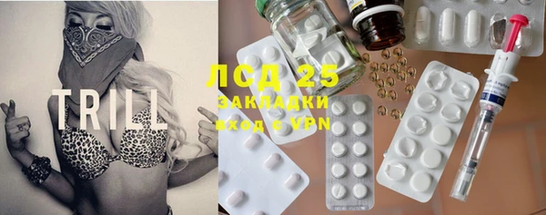 прущие грибы Абинск