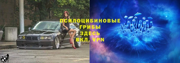 прущие грибы Абинск