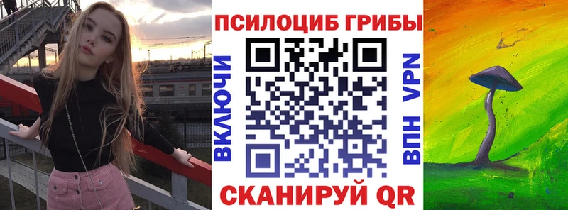 Галлюциногенные грибы Cubensis блэк спрут ссылка Великий Новгород