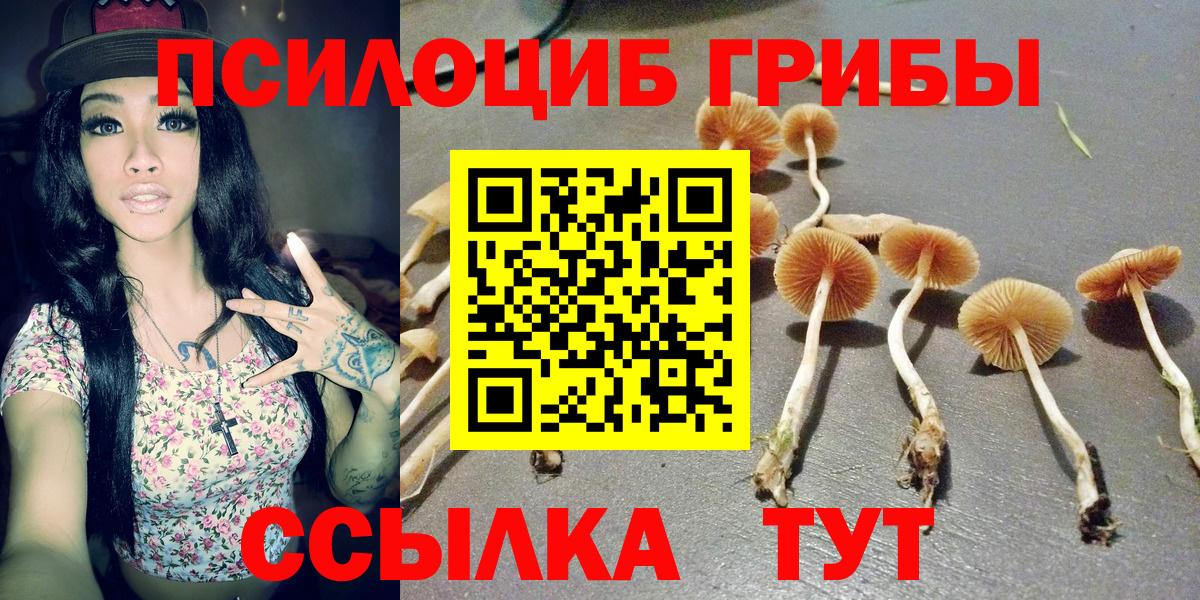 Великий Новгород  Галлюциногенные грибы прущие грибы  Галлюциногенные грибы MAGIC MUSHROOMS  Вход с VPN 